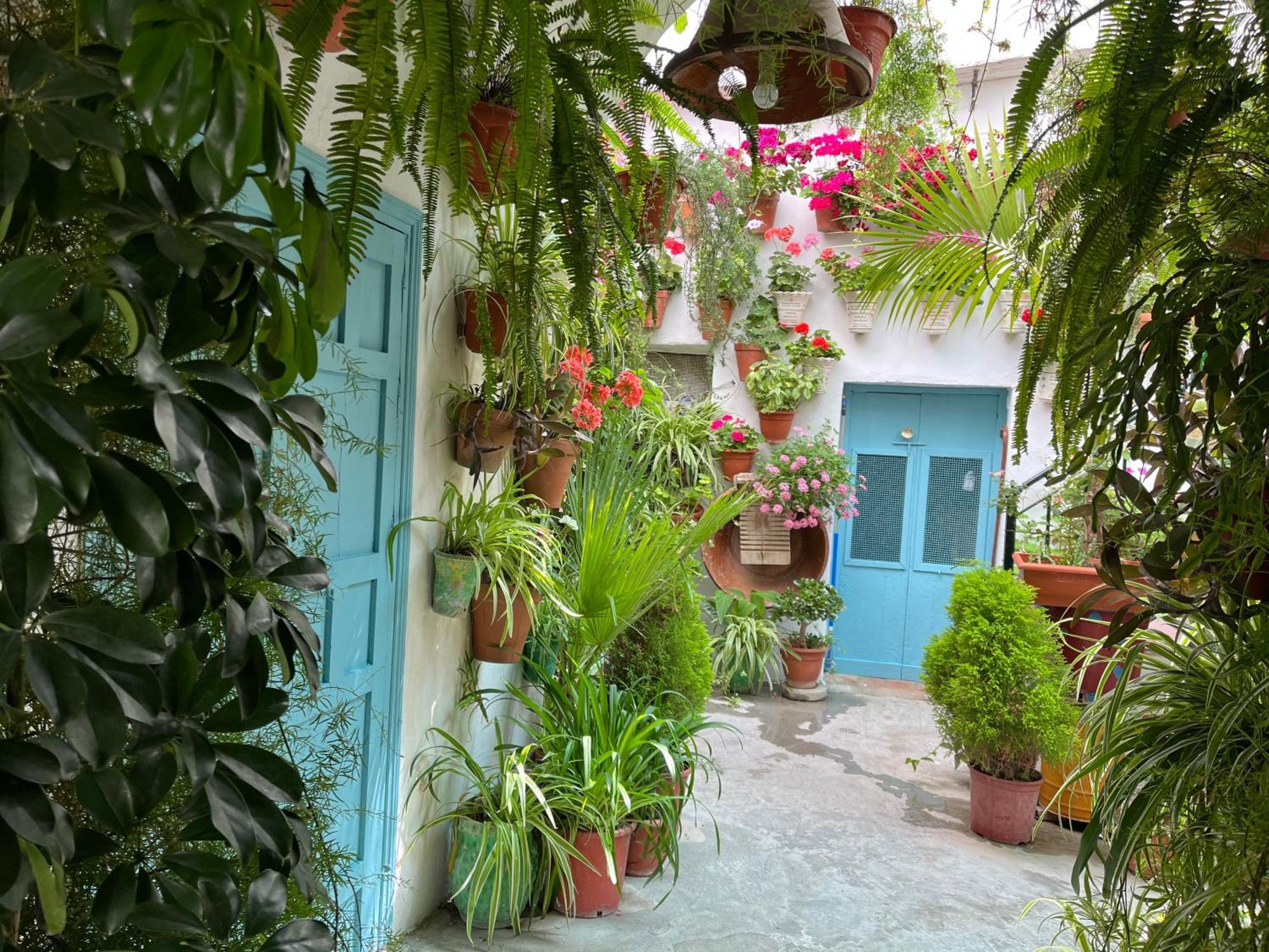 Apartamento La Muralla Vejer de la Frontera Ngoại thất bức ảnh